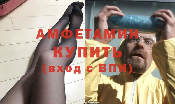 стаф Алзамай