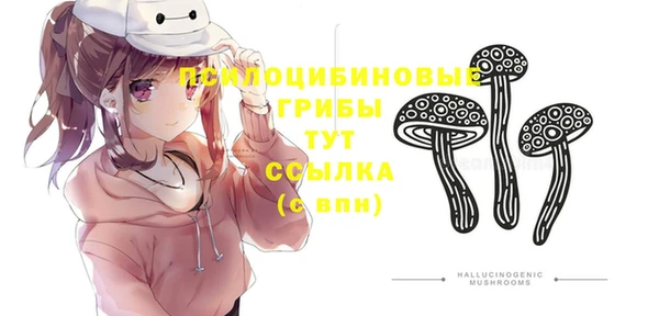 стафф Алексеевка