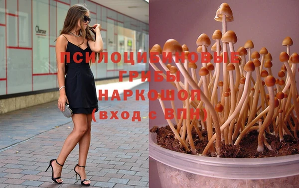 Альфа ПВП Алексин