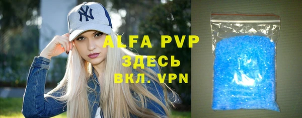 стаф Алзамай
