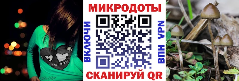 мега   Аркадак  Галлюциногенные грибы прущие грибы 